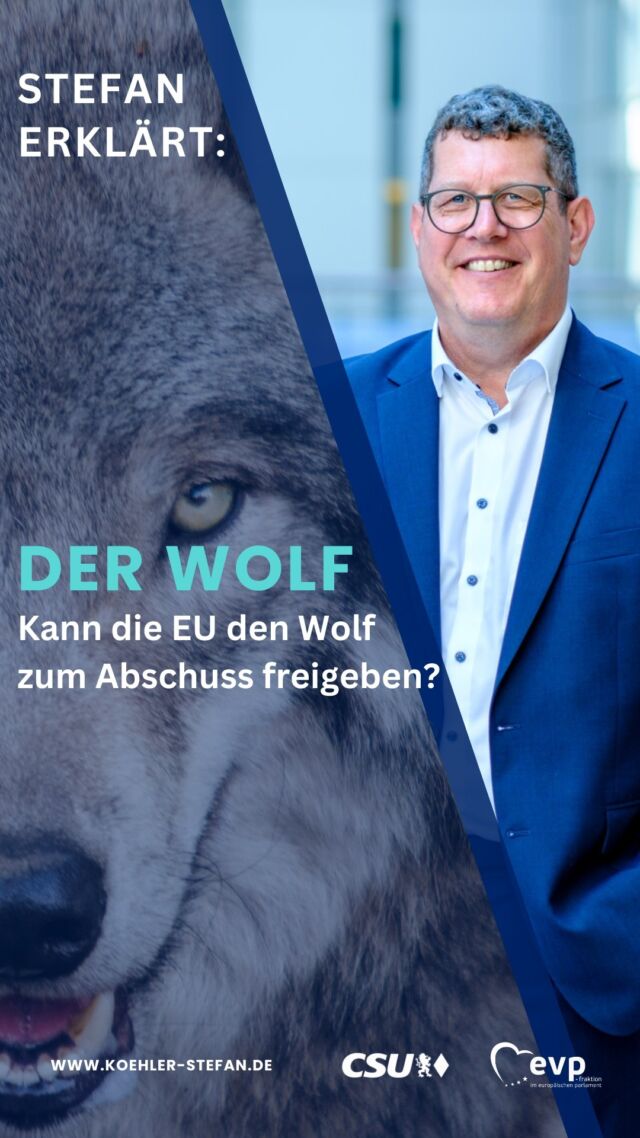 Stichwort Wolf 🐺 Der Schutzstatus soll auf „geschützt“ abgesenkt werden. Was bedeutet das? 🤔 Ich erkläre euch das einmal!
.
.
.
#stefankoehler #fuerslandunddieleut #gescheitepolitik #wolf #bernerkonvention #beutegreifer #schutzstatus